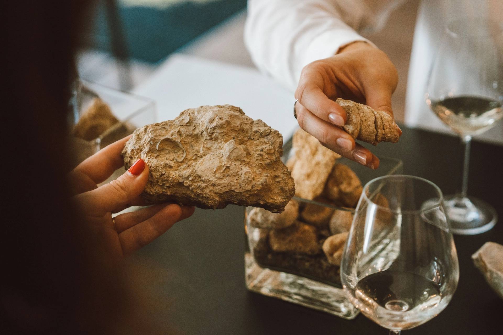 Geo-sensory tasting workshop