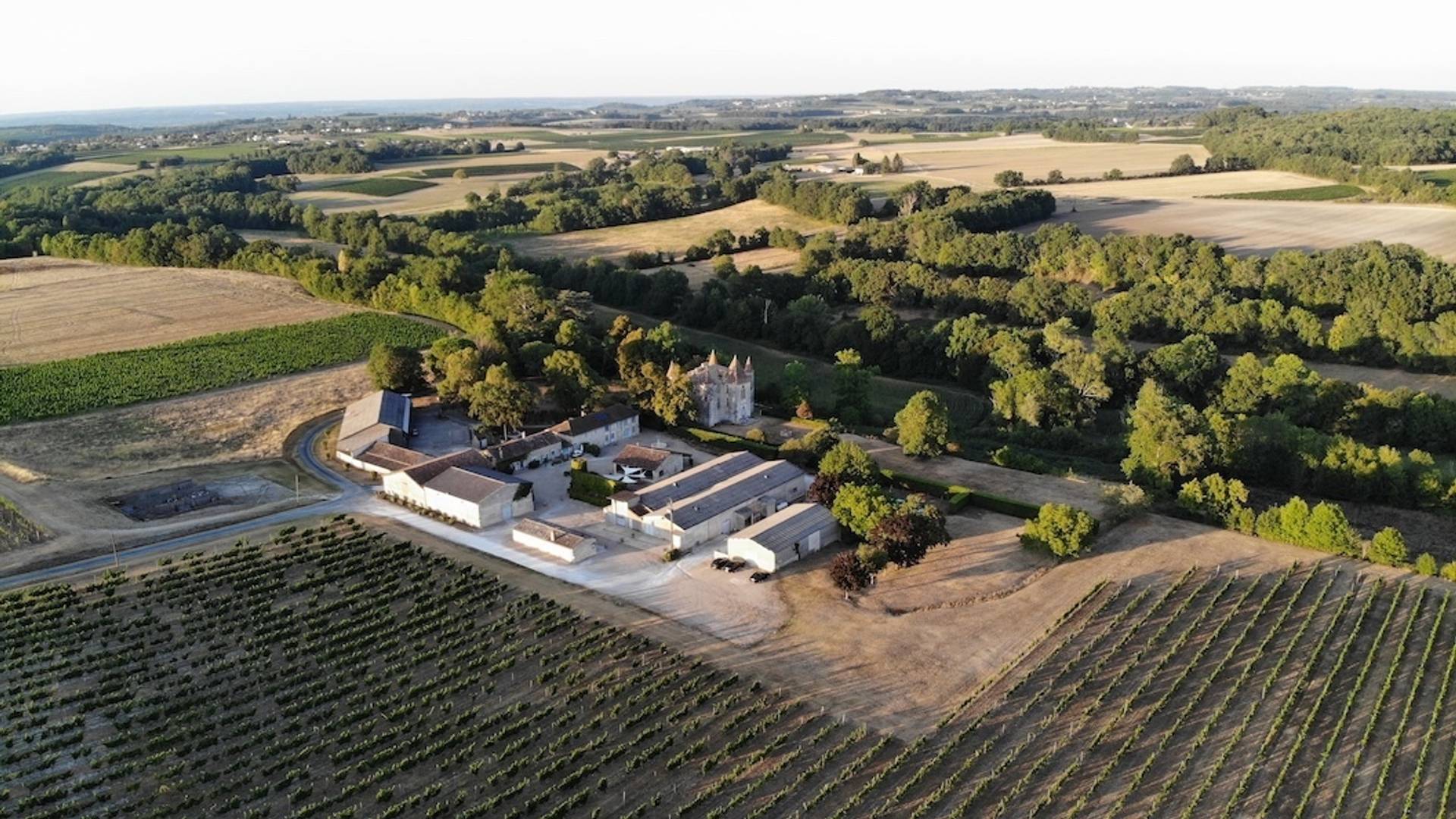 Visit to the vineyard & discovery of the cellar