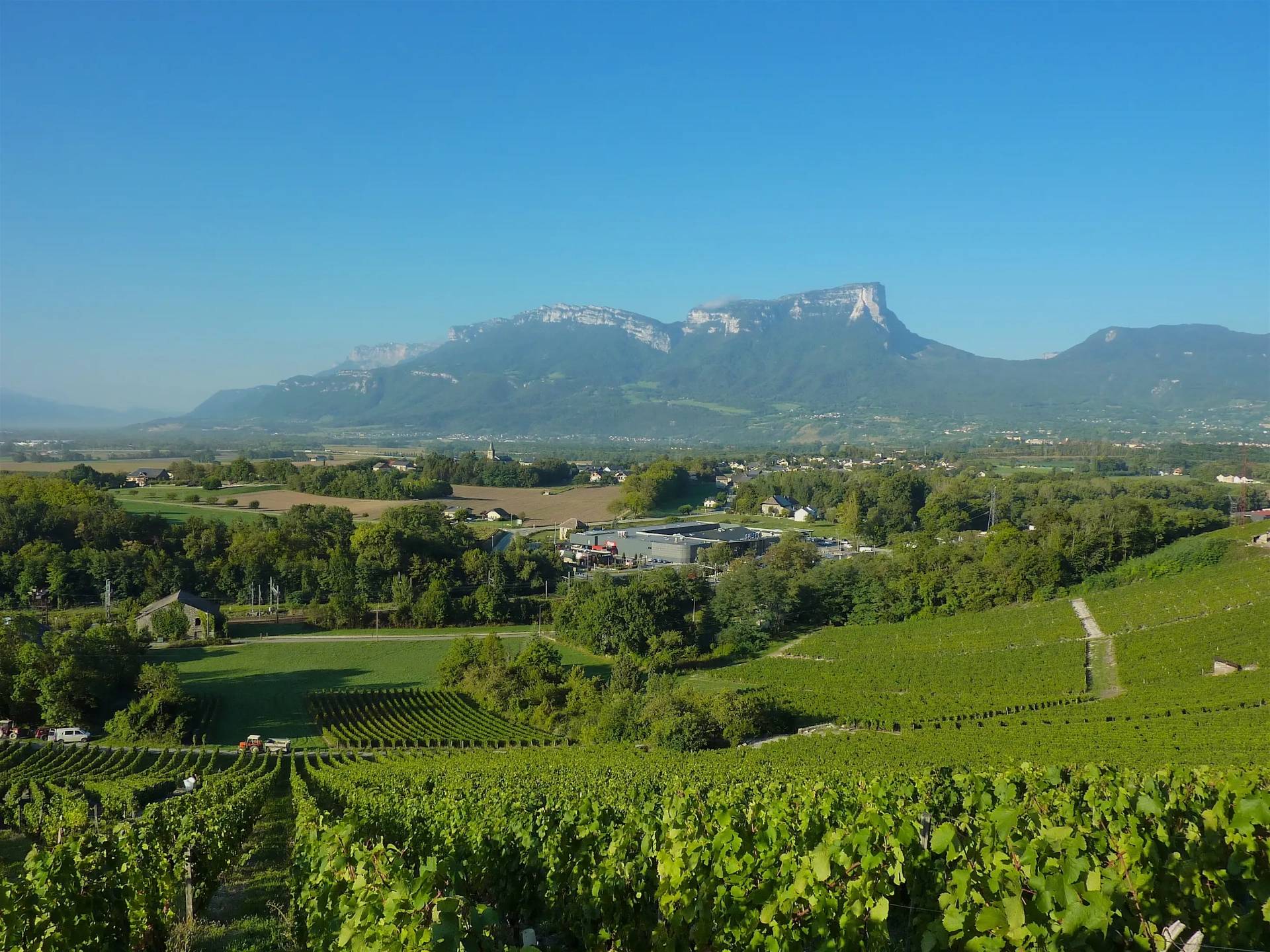 DOMAINE JEAN-CHARLES GIRARD-MADOUX