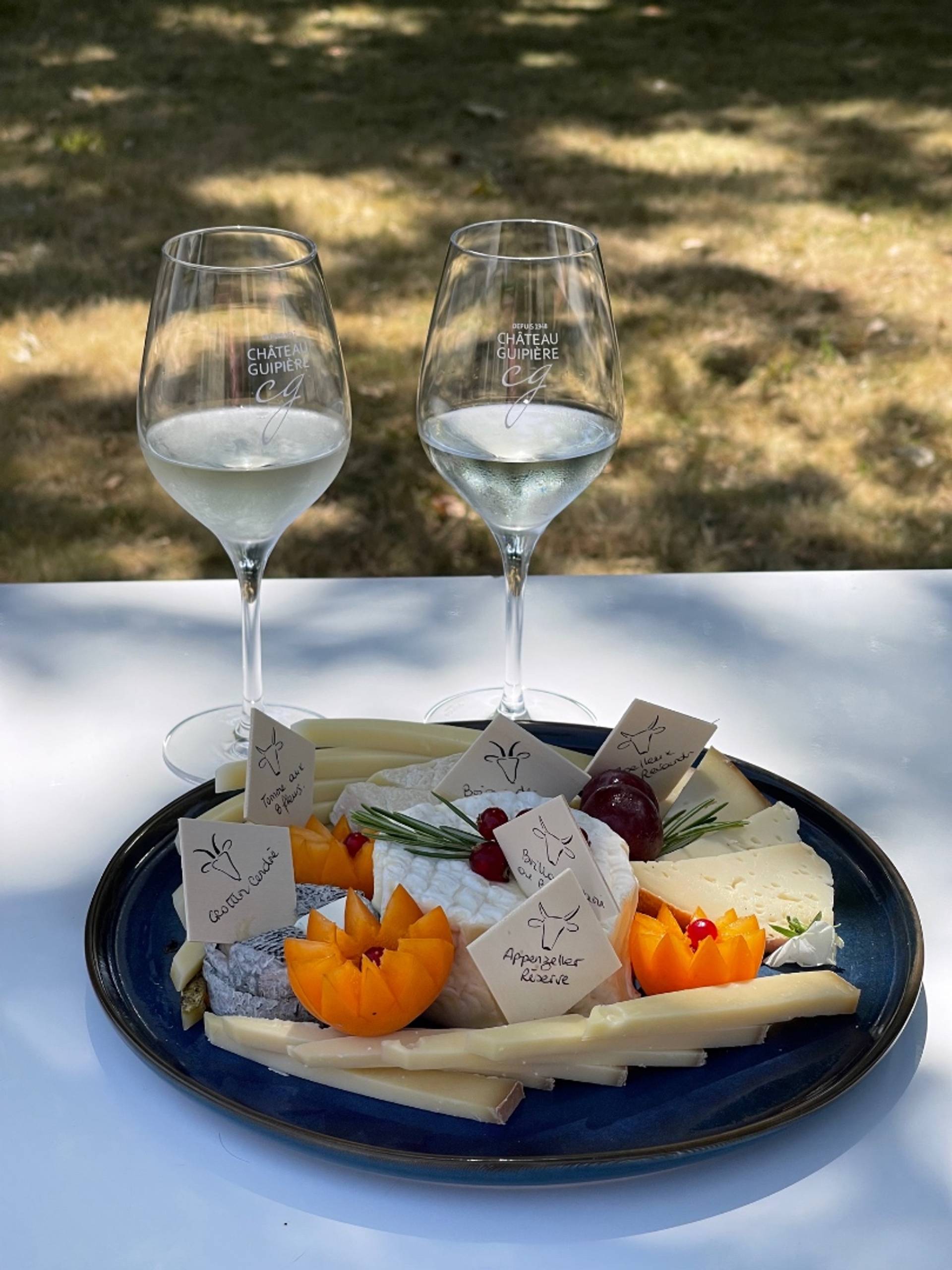 Wine and cheese tasting