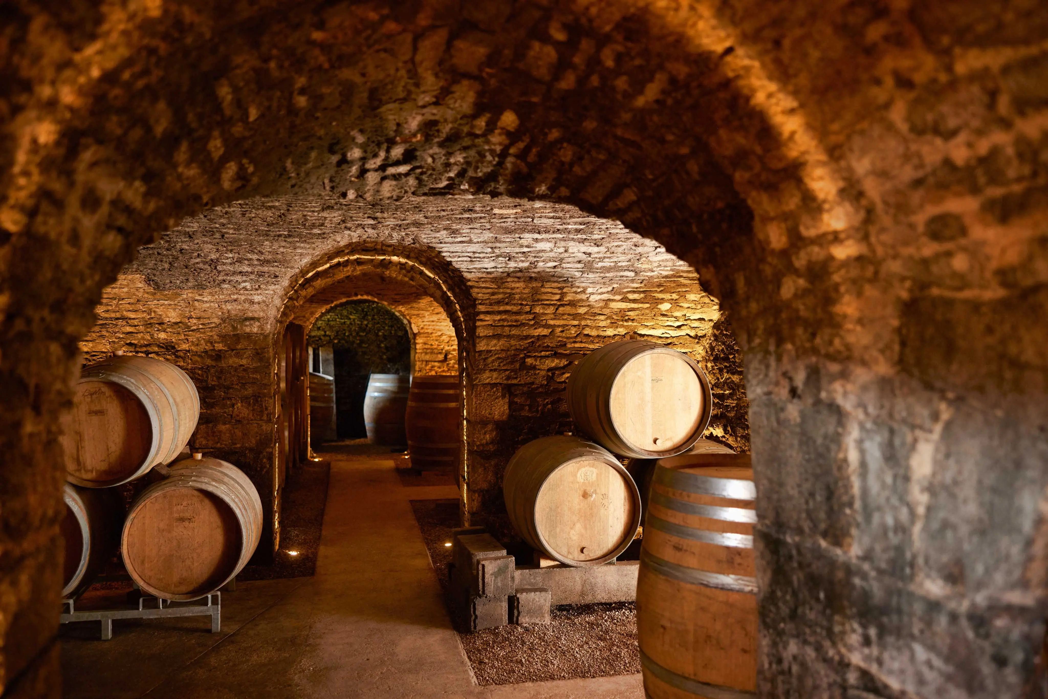 Experience in the Heart of the Cellars