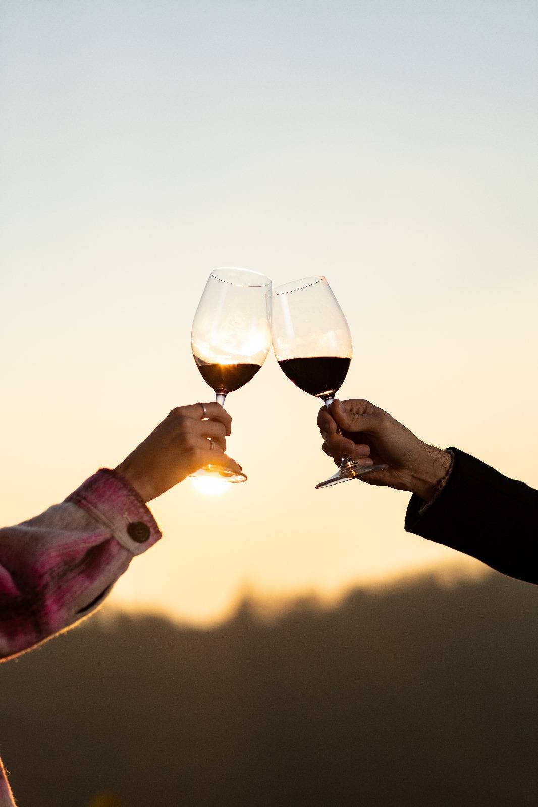 Wild Herbs Experience