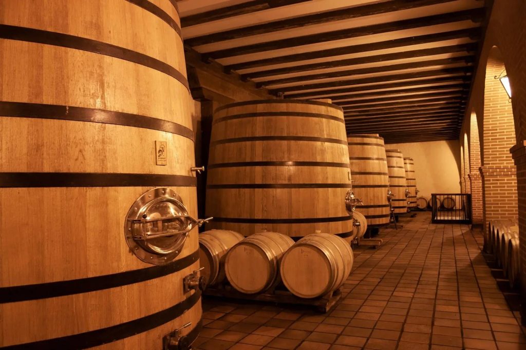 Visit Bodegas Mocén, culture, art and wine