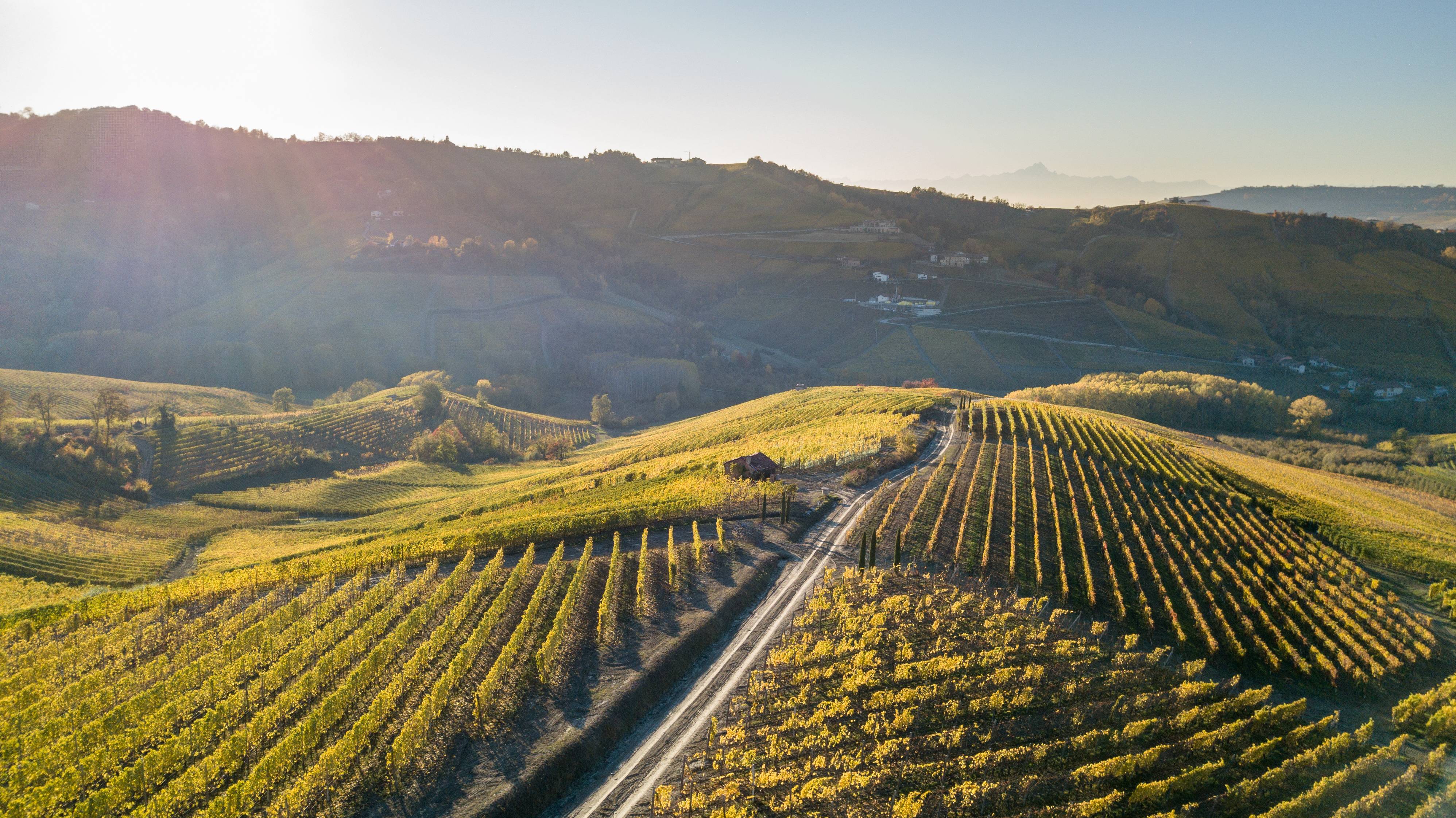 The secrets of the legendary cru VignaRionda