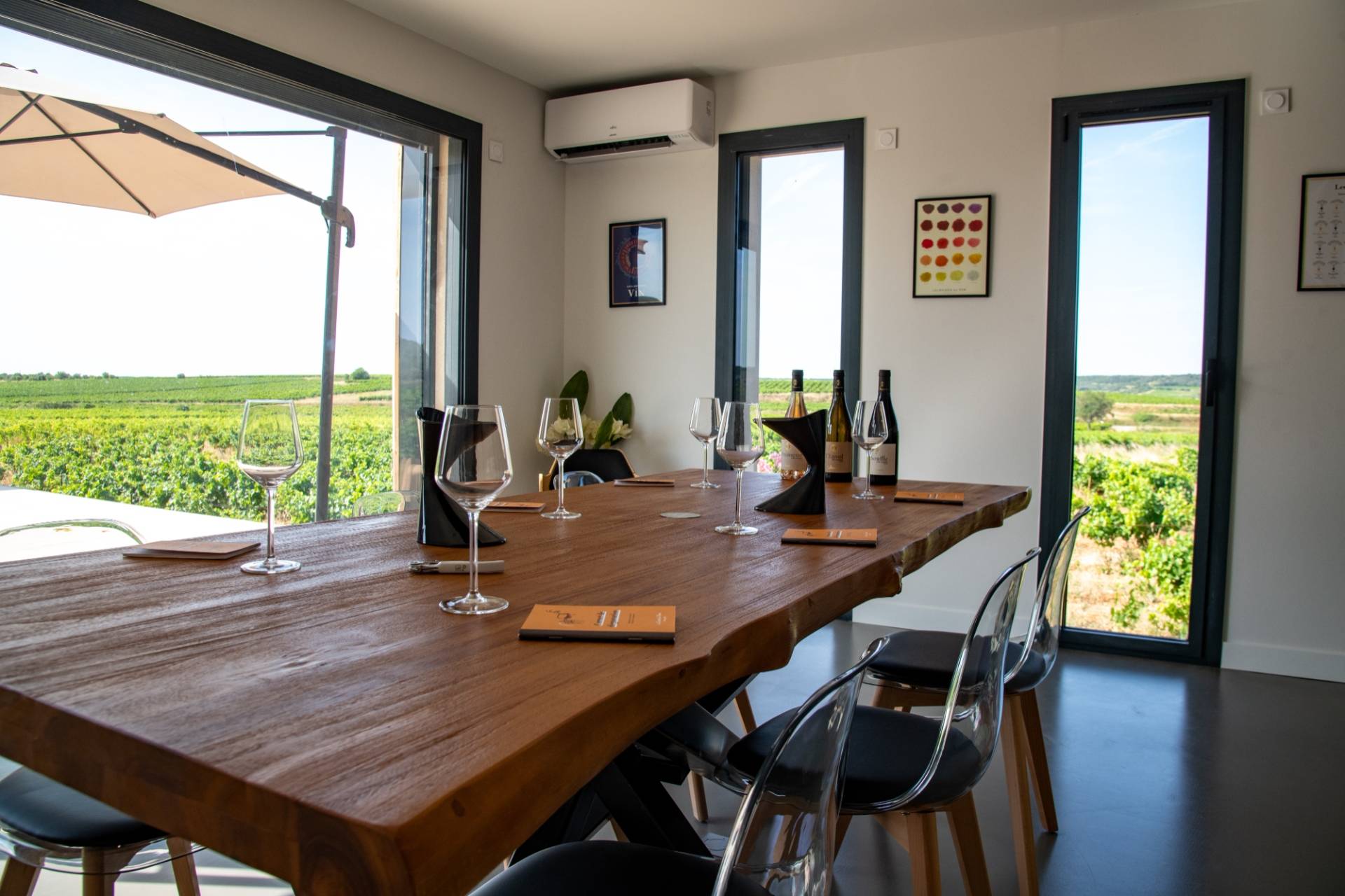 Introduction to wine tasting