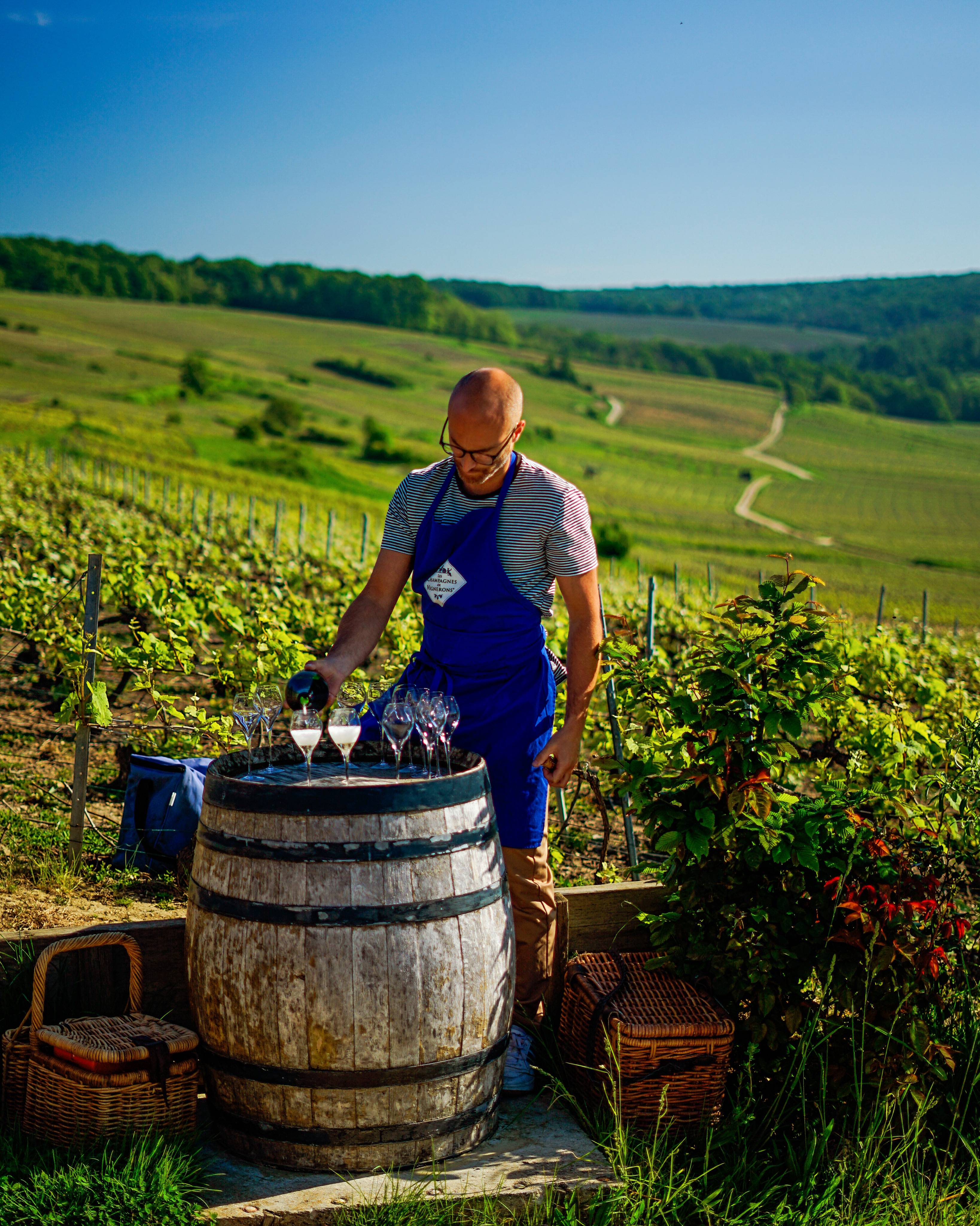 VIP TOUR of the estate and vineyard