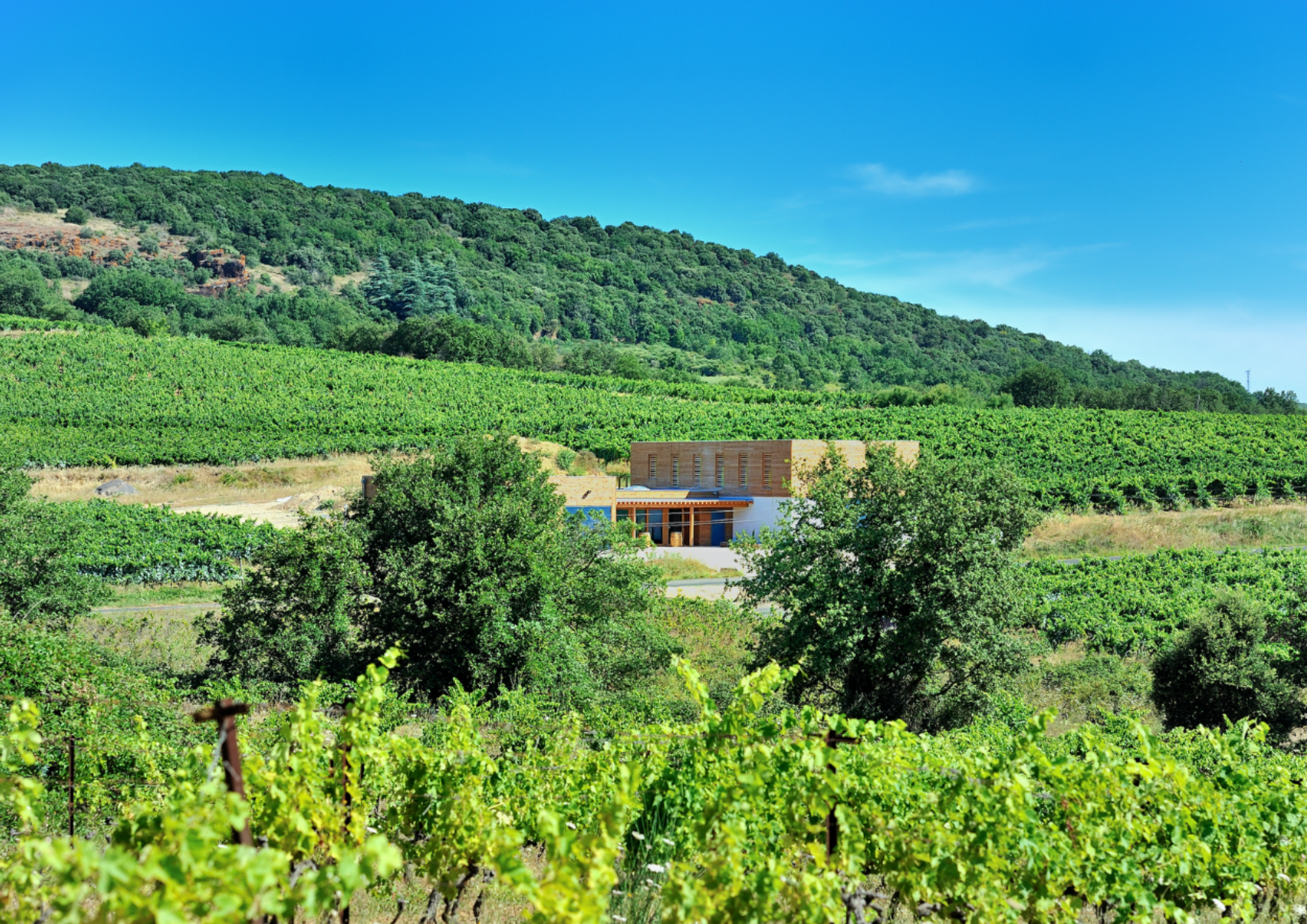 Tasting and Aperitif on the Volcano