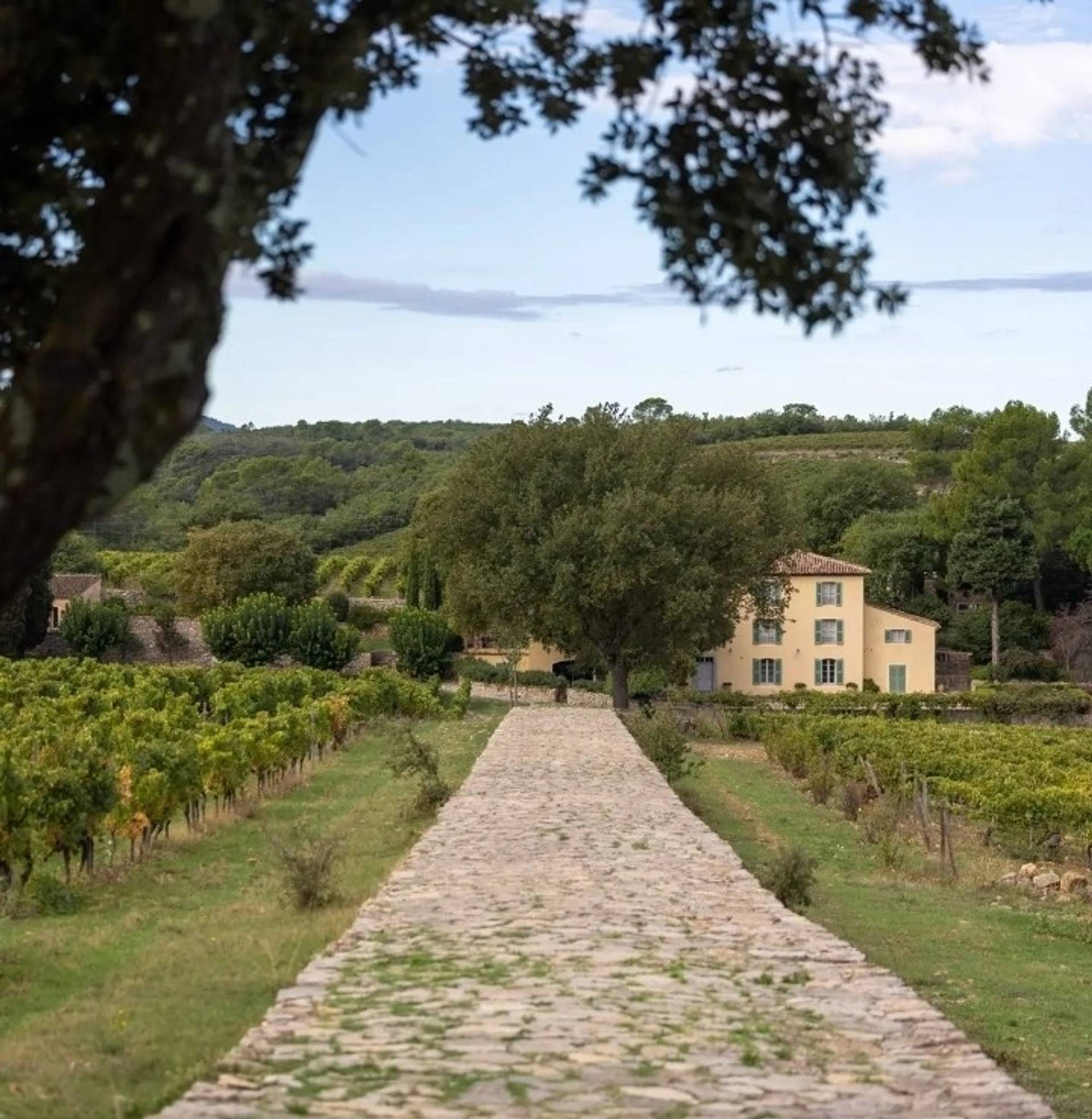 CHÂTEAU LA MASCARONNE