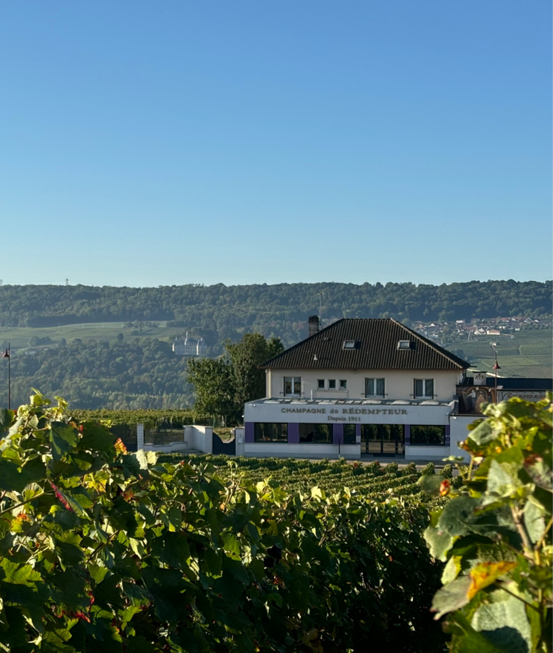 CHAMPAGNE DU RÉDEMPTEUR