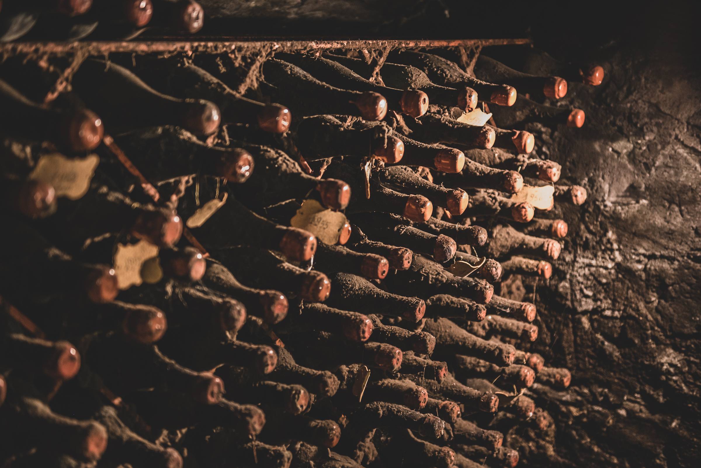 Vintage of the Author: A Journey Through Our Great Wines