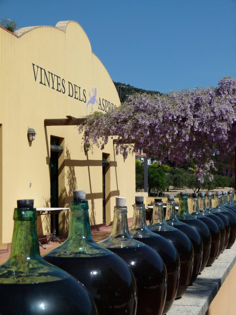 Visit of the cellar and tastings