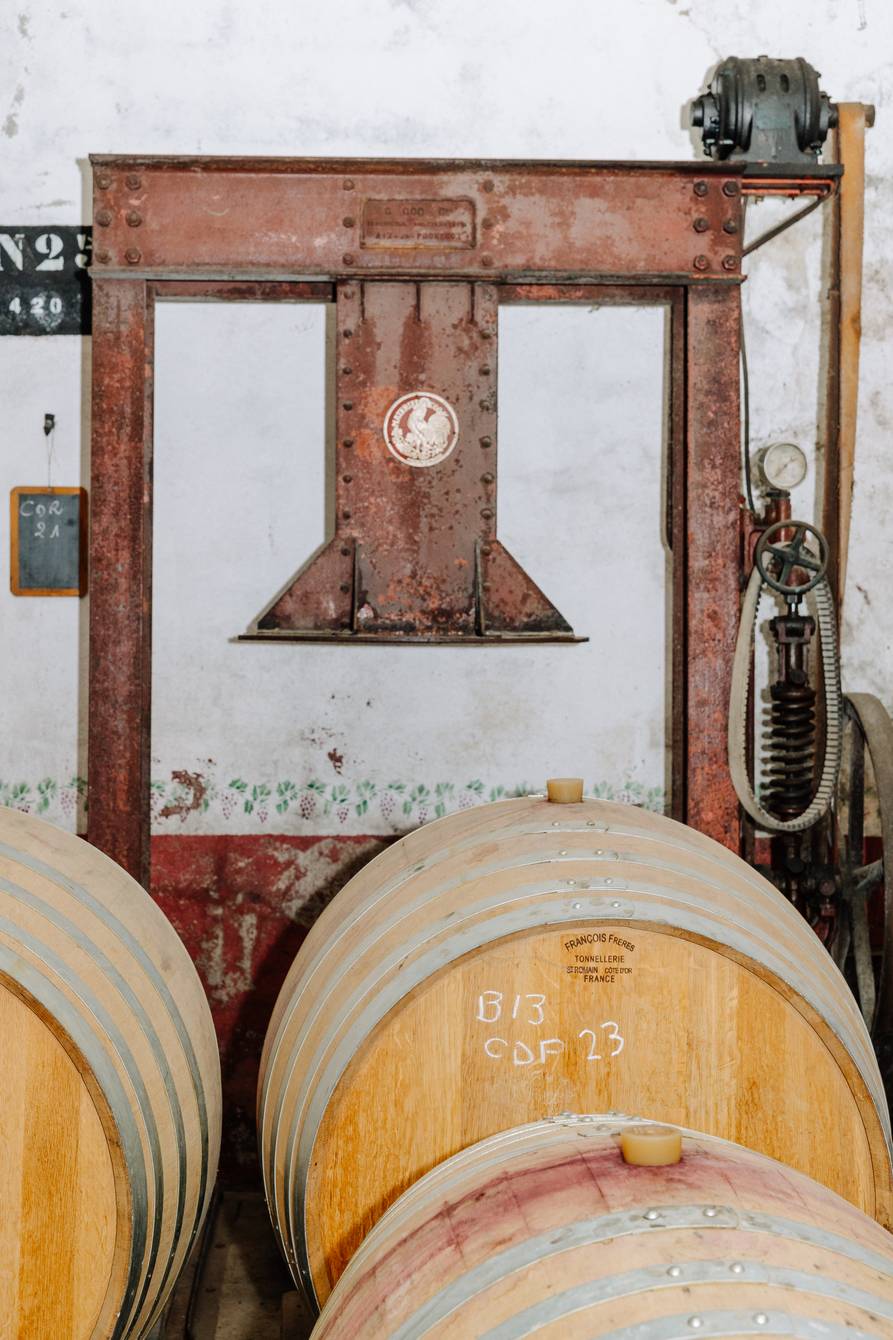 Cellar visit and tasting