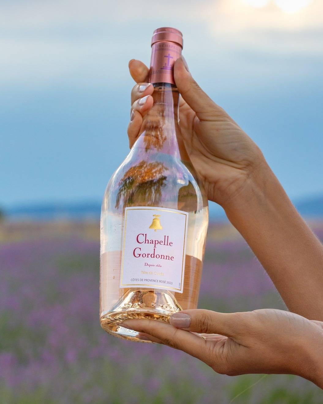 Guided tour and tasting of our wines