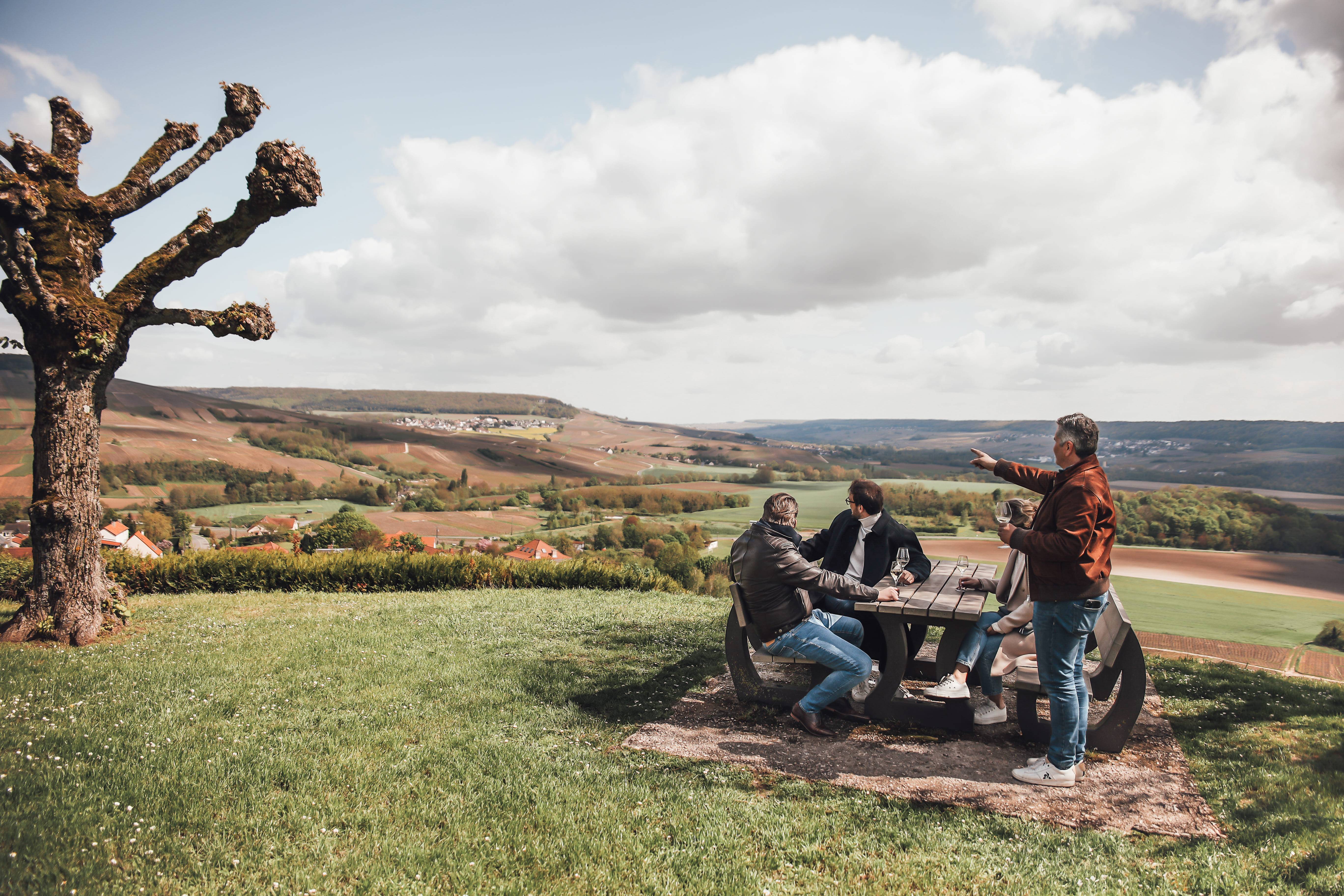 Visit and tasting in our vineyard