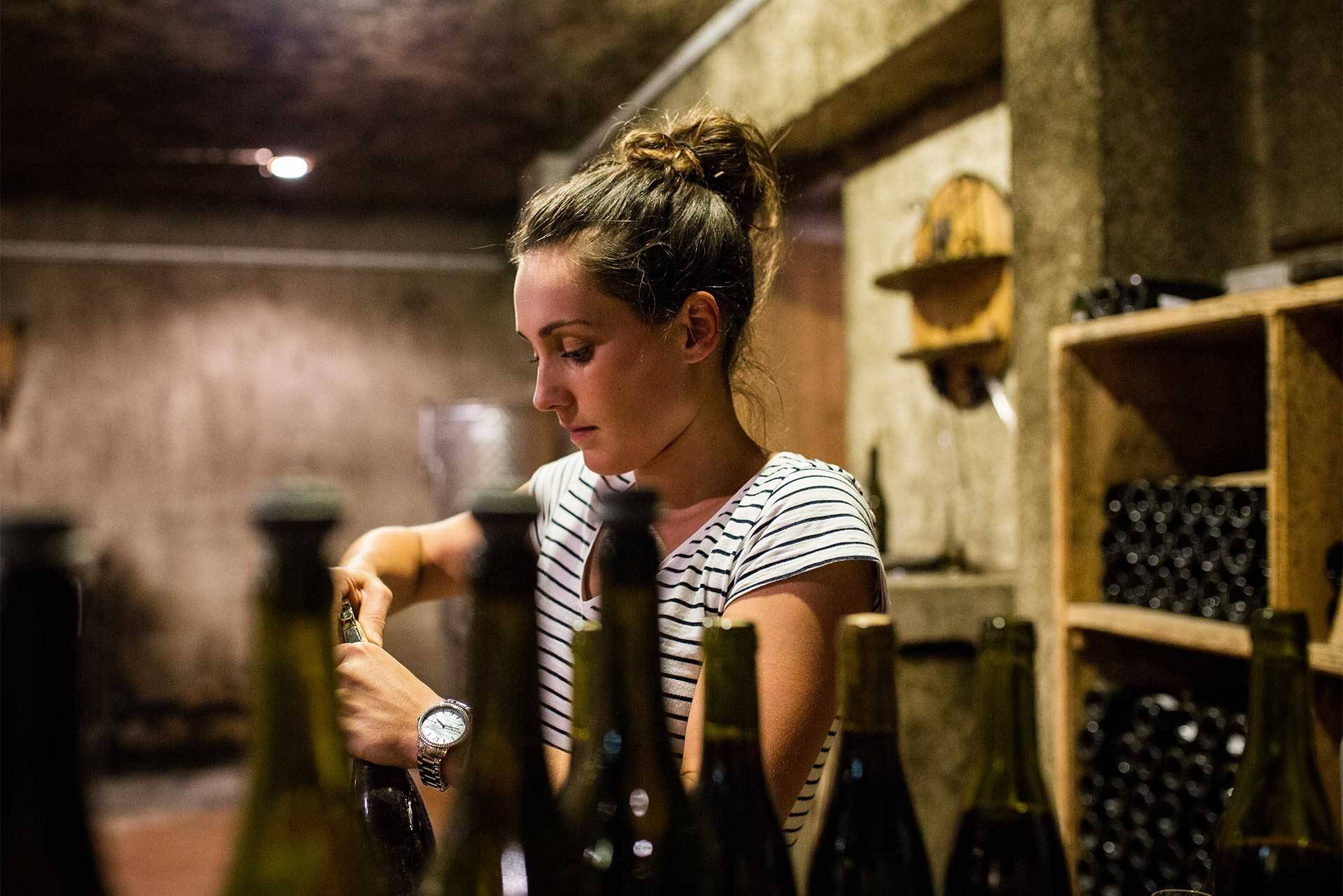 Enter to the cellar family for a wine tasting