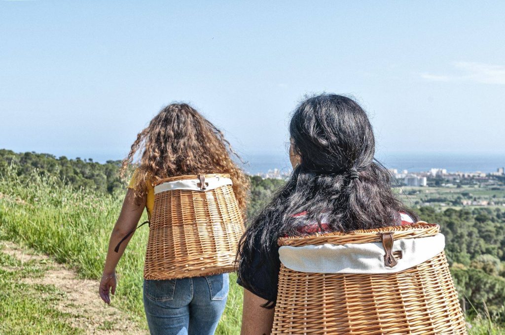 Picnic between vineyards overlooking the sea
