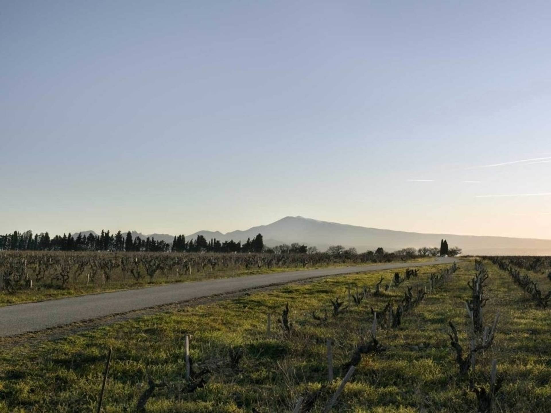 Winegrower’s walk through the heart of the terroirs