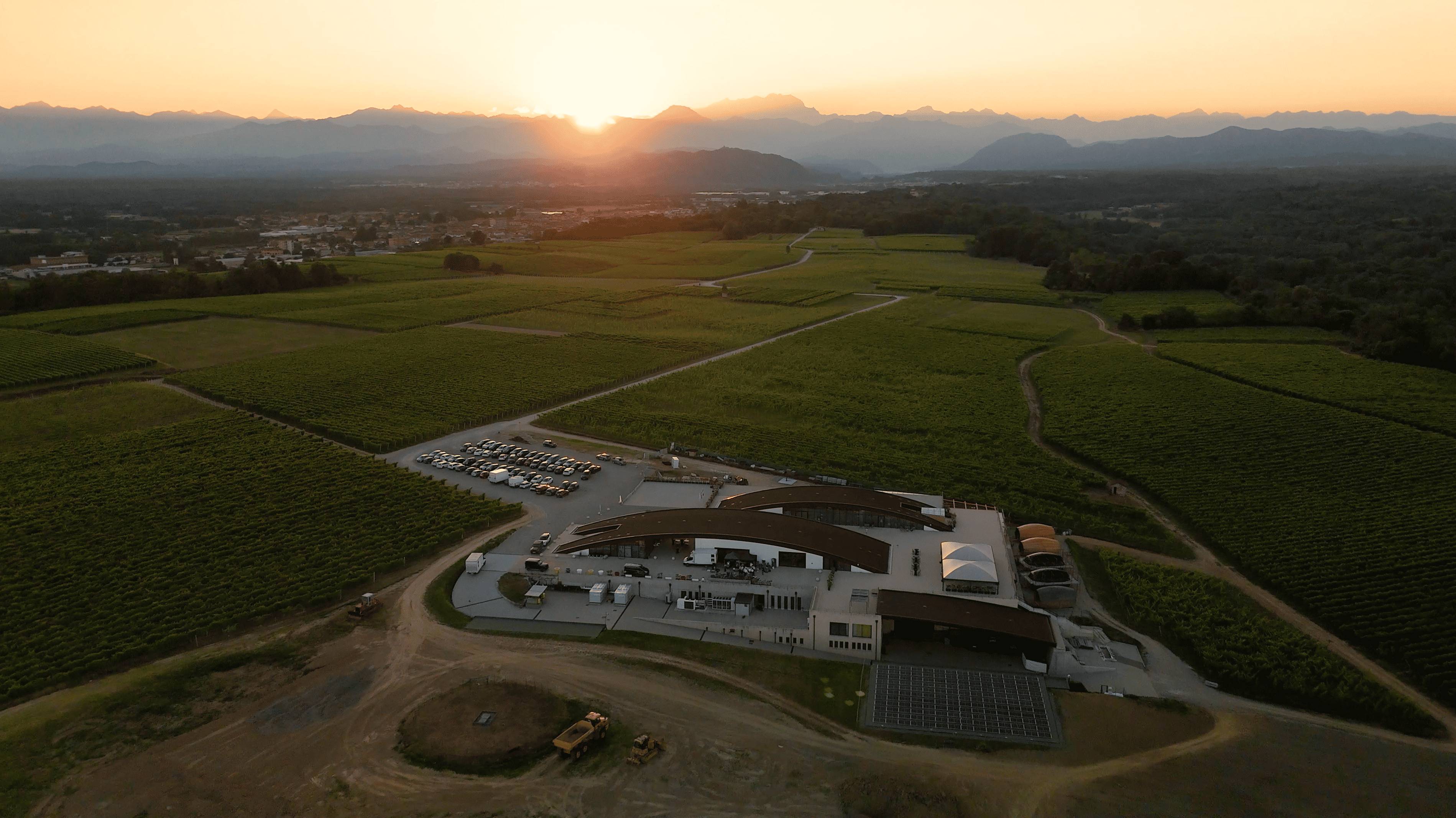 Black Friday & Winery Wine Market!