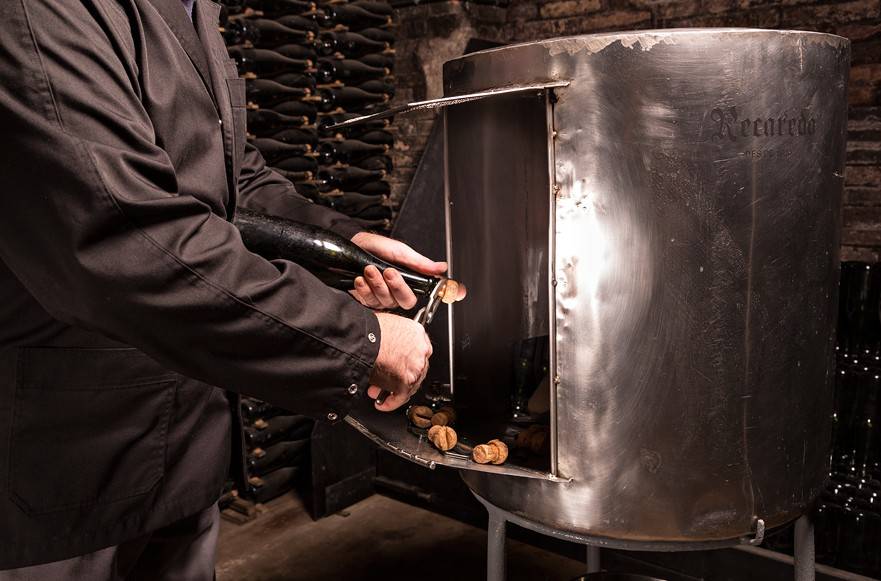 Journey to the origins