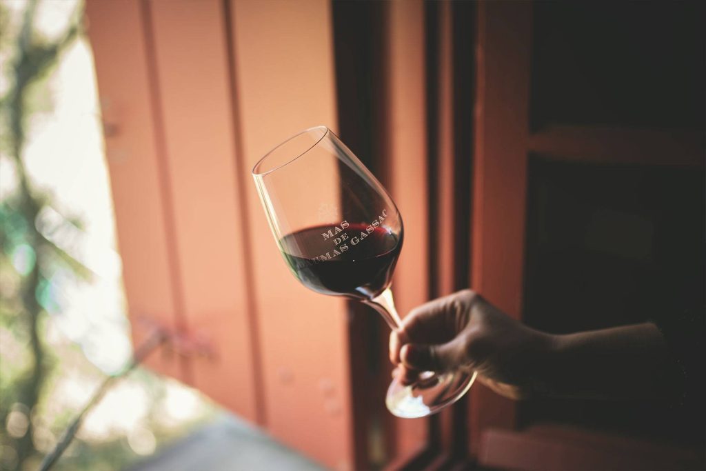 Visit and tasting at Mas de Daumas Gassac