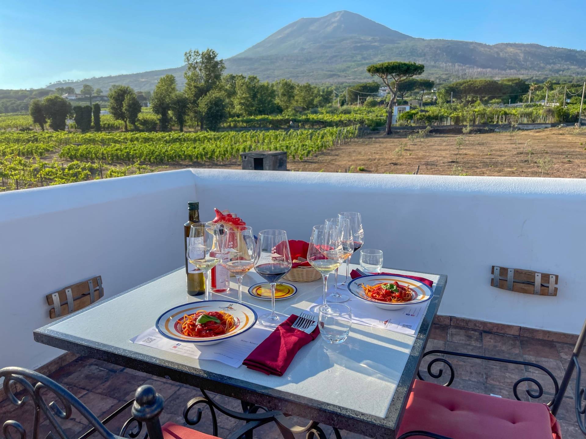Organic Wine Tasting with Lunch on Mt Vesuvius