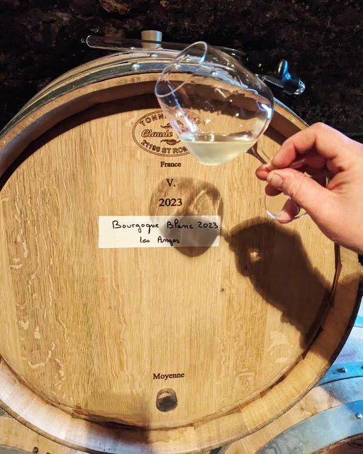 Visit & Tasting of 4 wines