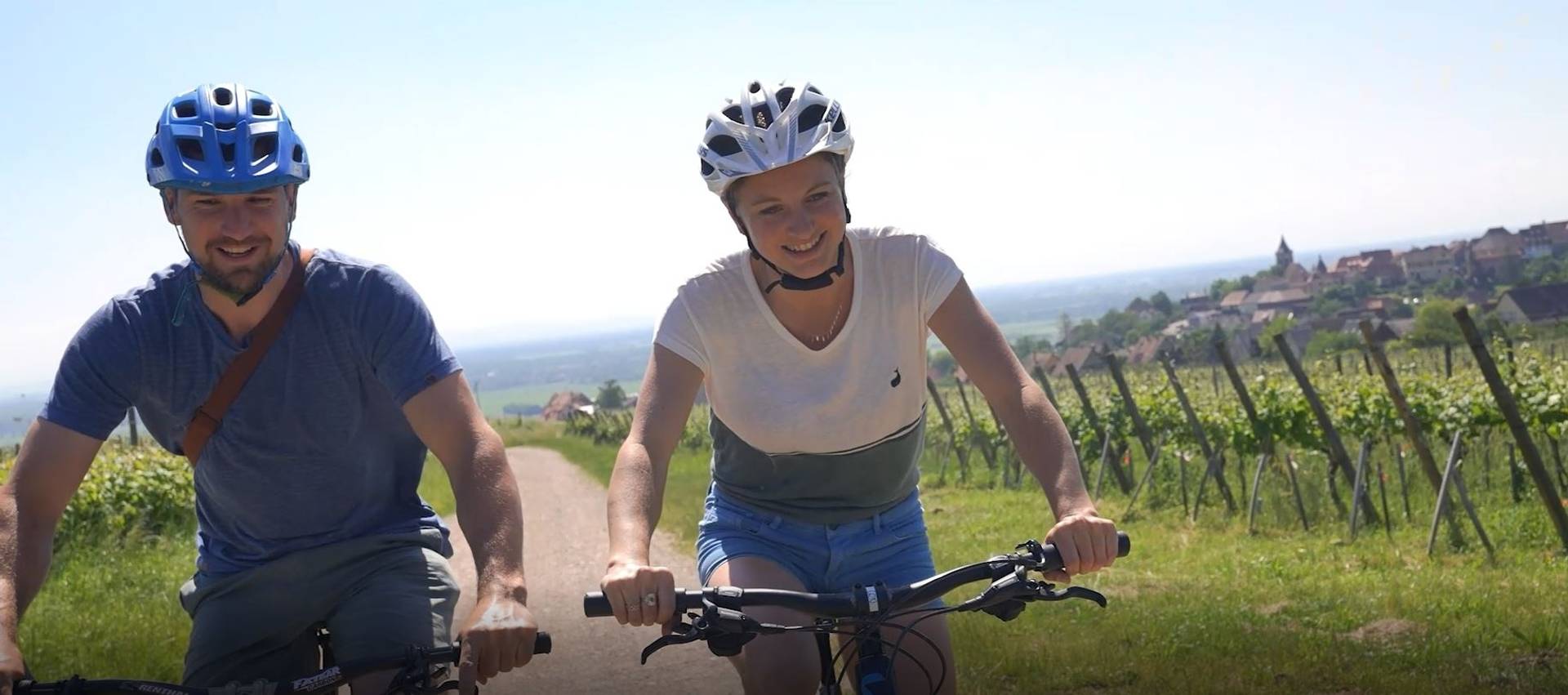Bike, Picnic and Wine