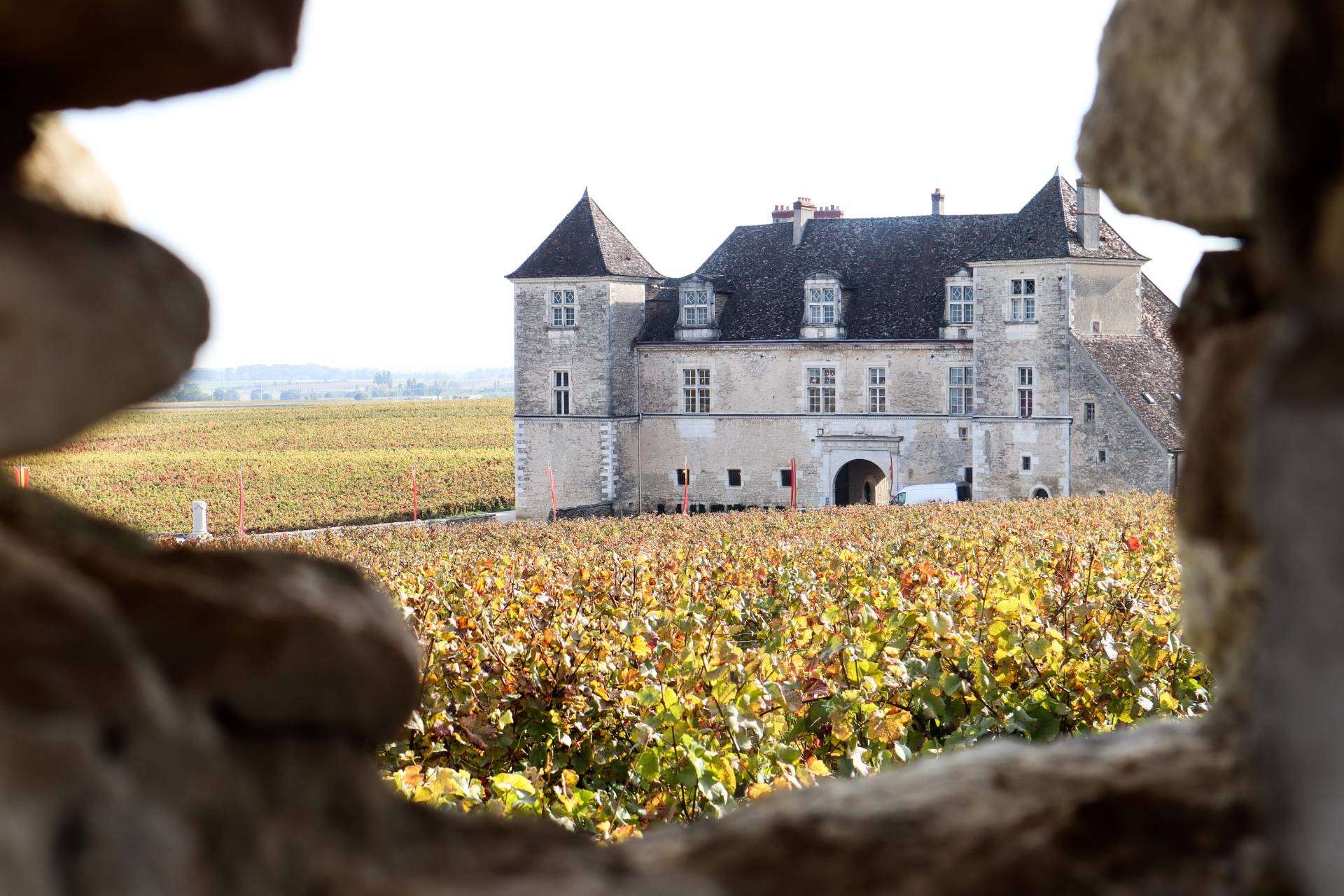 Dijon – Côte de Nuits Wine Tour with Tasting