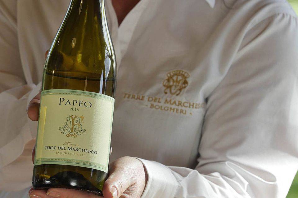 Visit with CLASSIC tasting