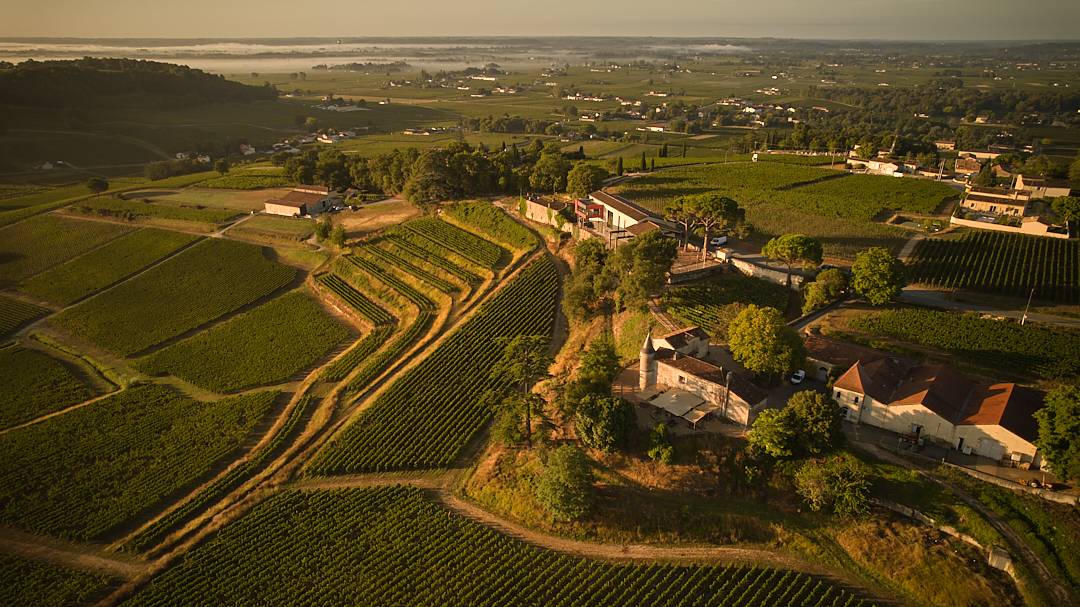 Saint-Émilion Grand Cru Classé: Visit & Tasting