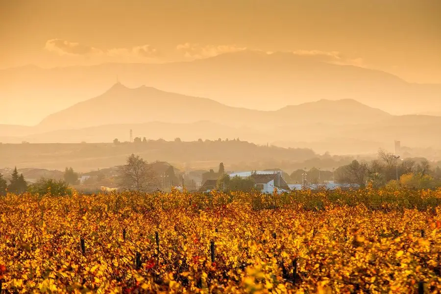 Time Travel – Vertical Tasting