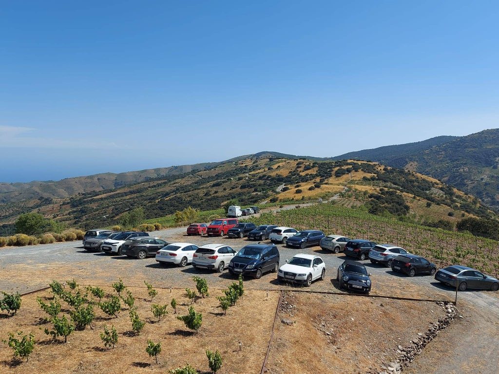 Big Tasting Experience