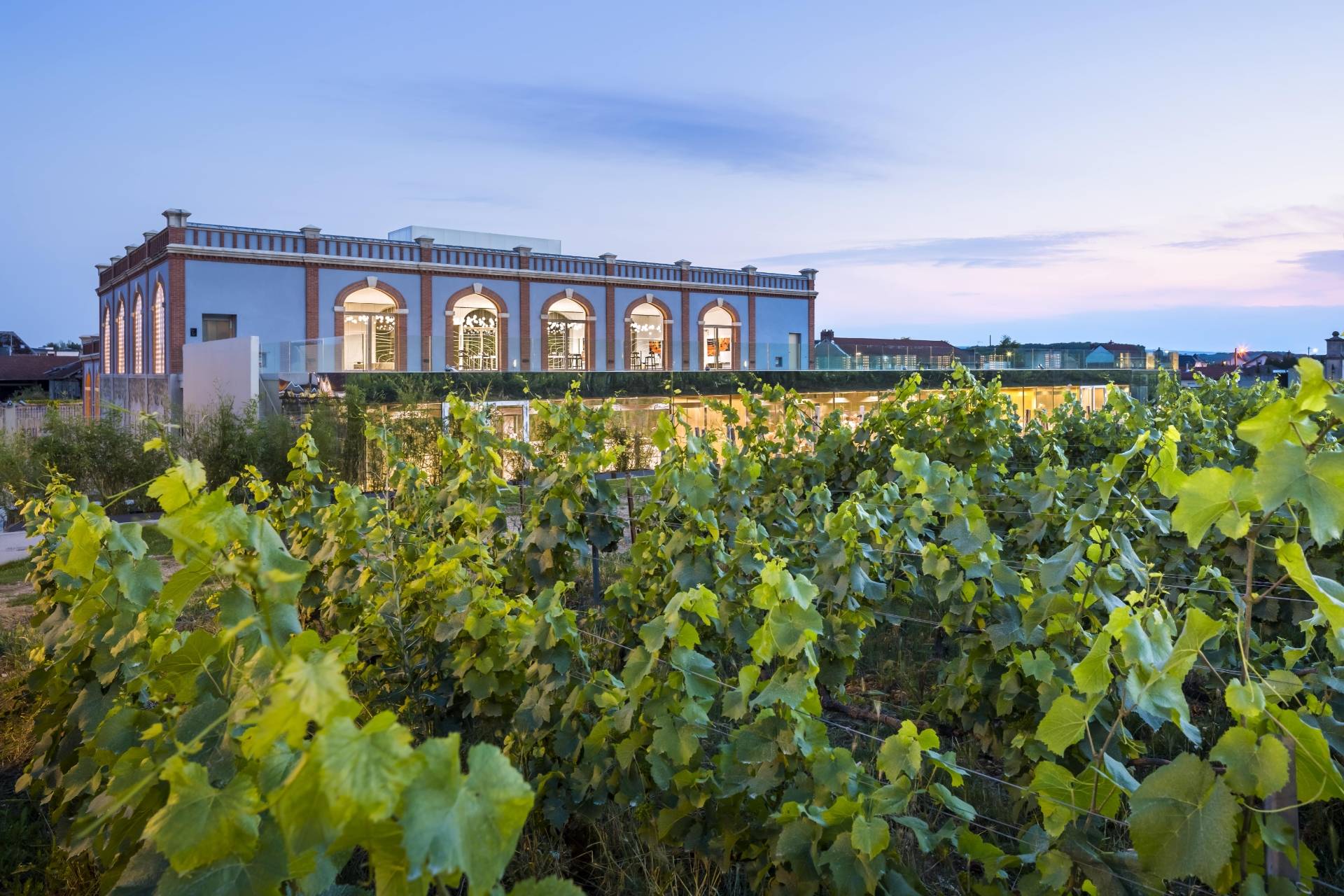 Sensory Journey to the Heart of Champagne