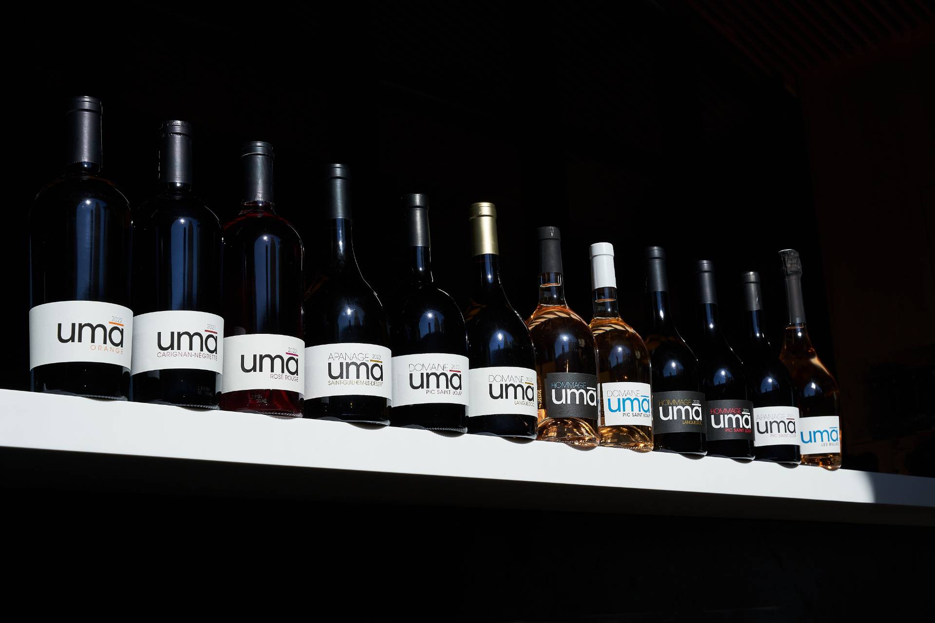 Visit to the Architectural Winery of Pic St Loup