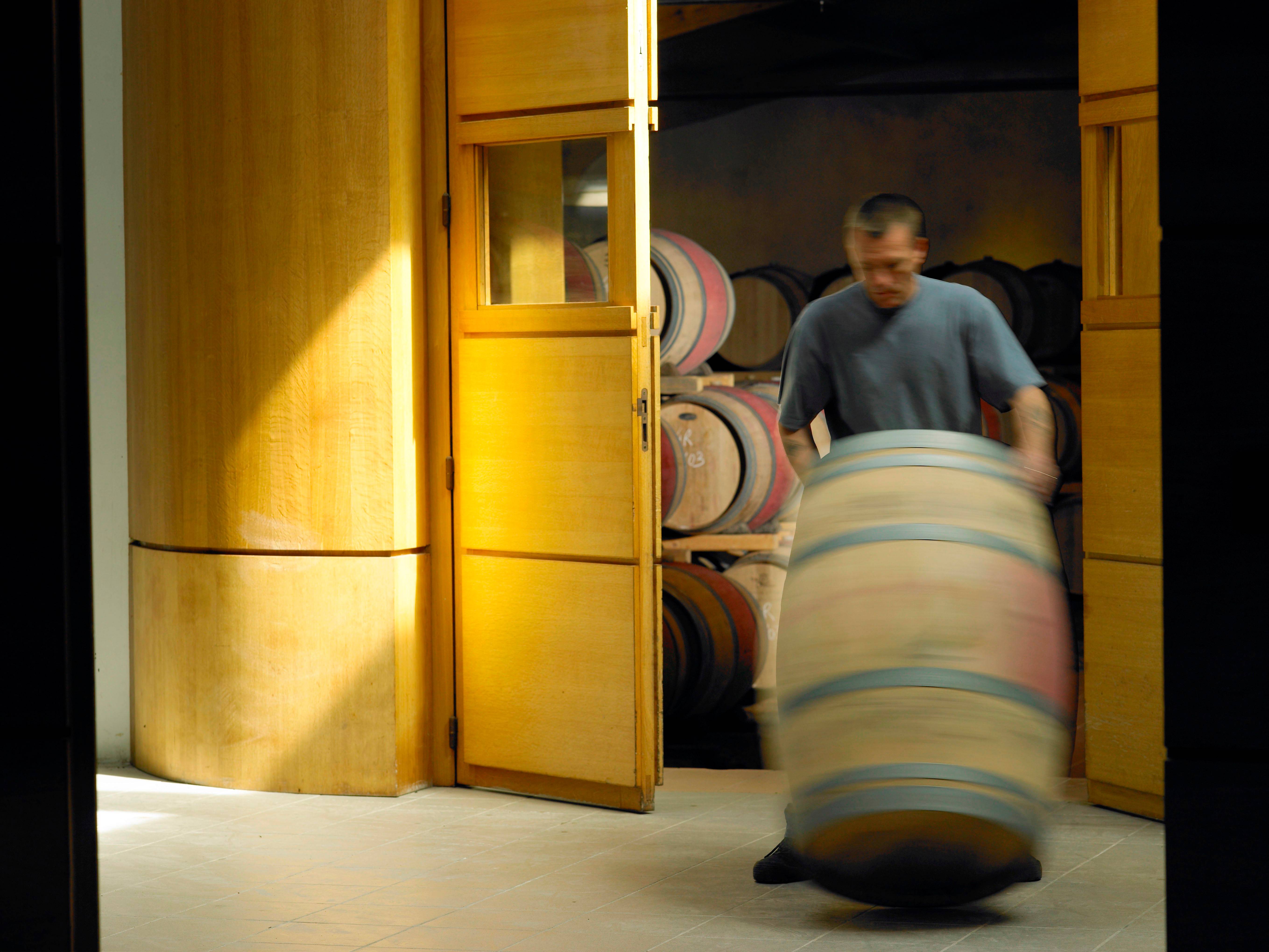 Discover the vineyard and cellars