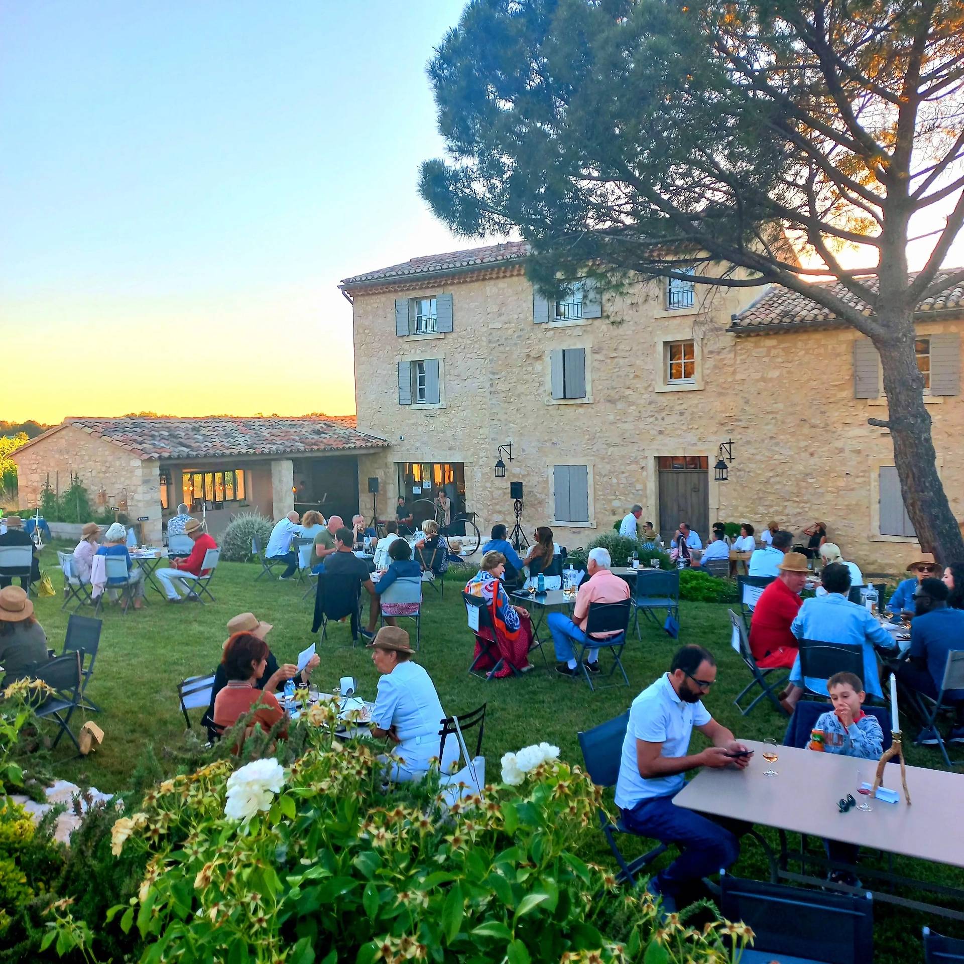 Dinner concert at the vineyard