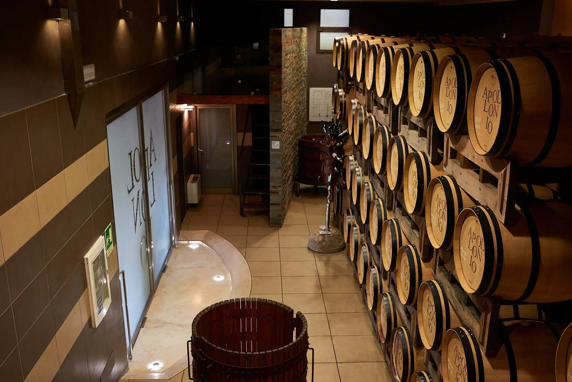 Negroamaro Experience