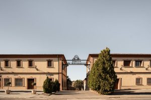 VIÑEDOS DE ALDANUEVA