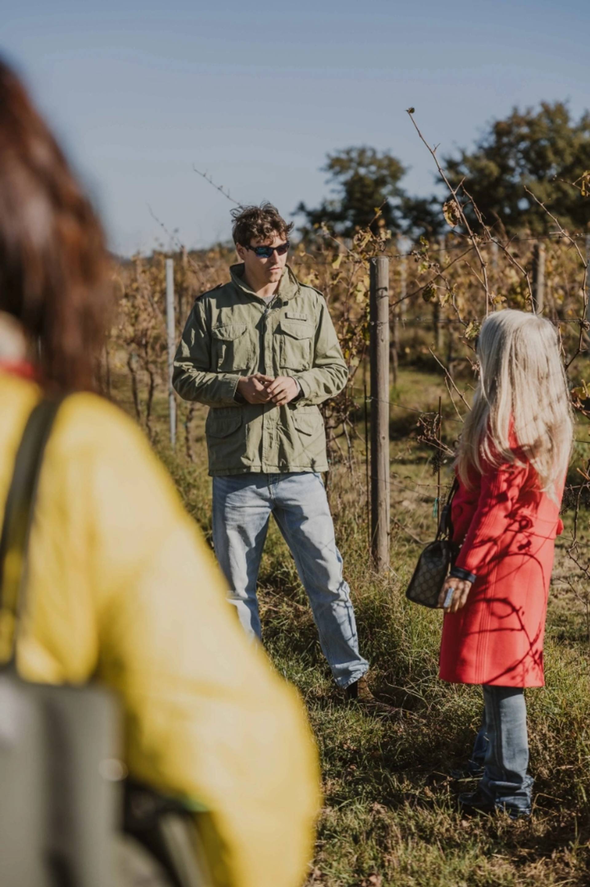 Atto Vino, a route dedicated to natural wines