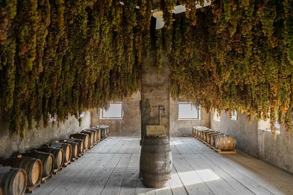 The Roots of the Volcano Experience