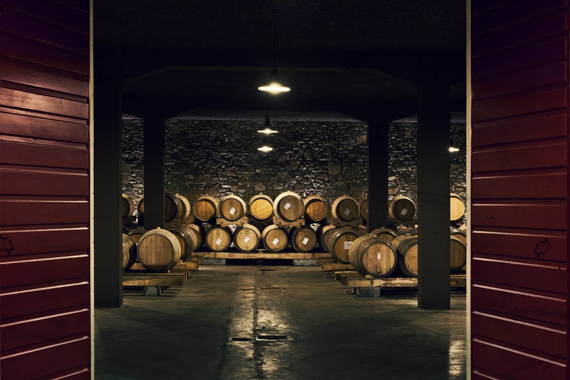 Discovering the wines of Castello di Buttrio