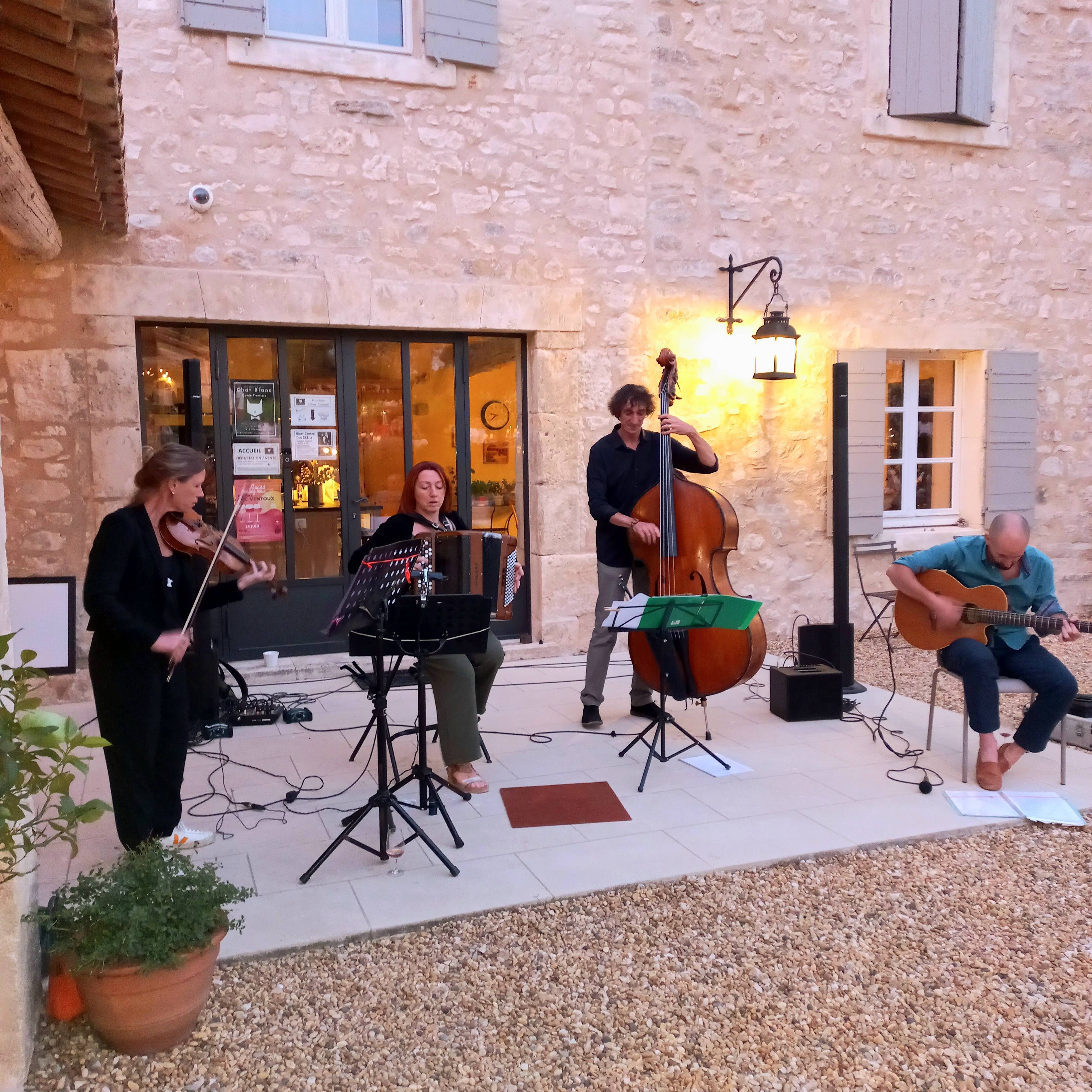 Dinner concert at the vineyard