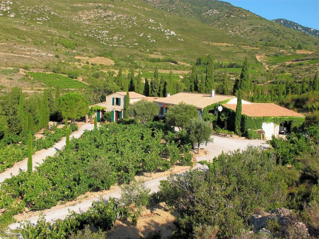 Storytelling walk: Wine-Art-Poetry in Cathar Country