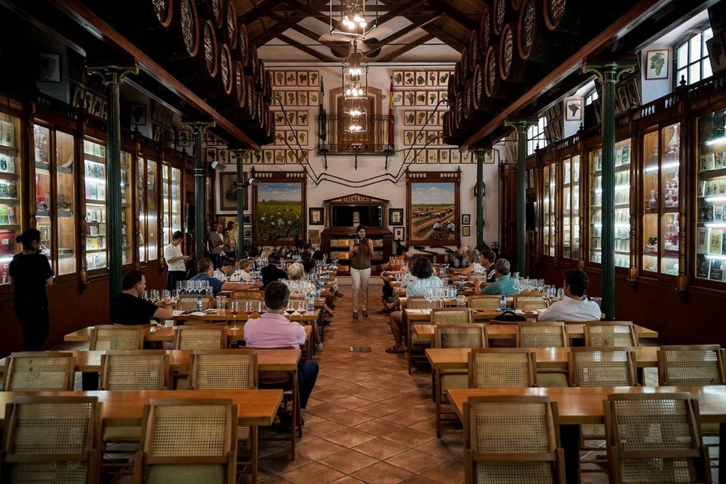 Special Saturday Experience