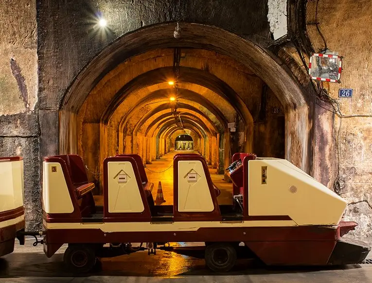 Visit Golden Bubble Public