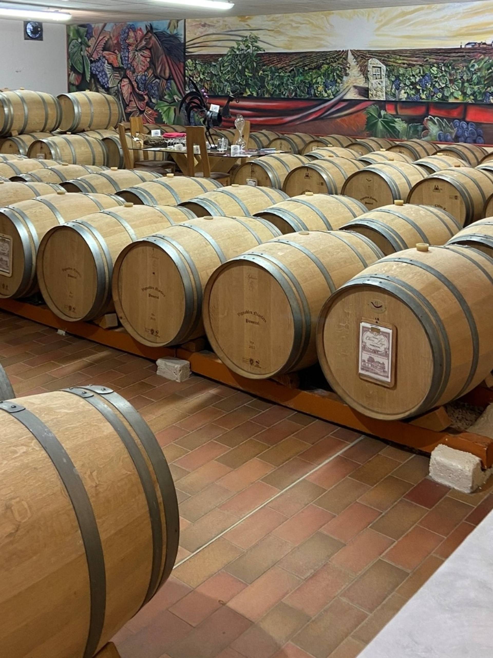 Amazing tasting in an 1896 cellar