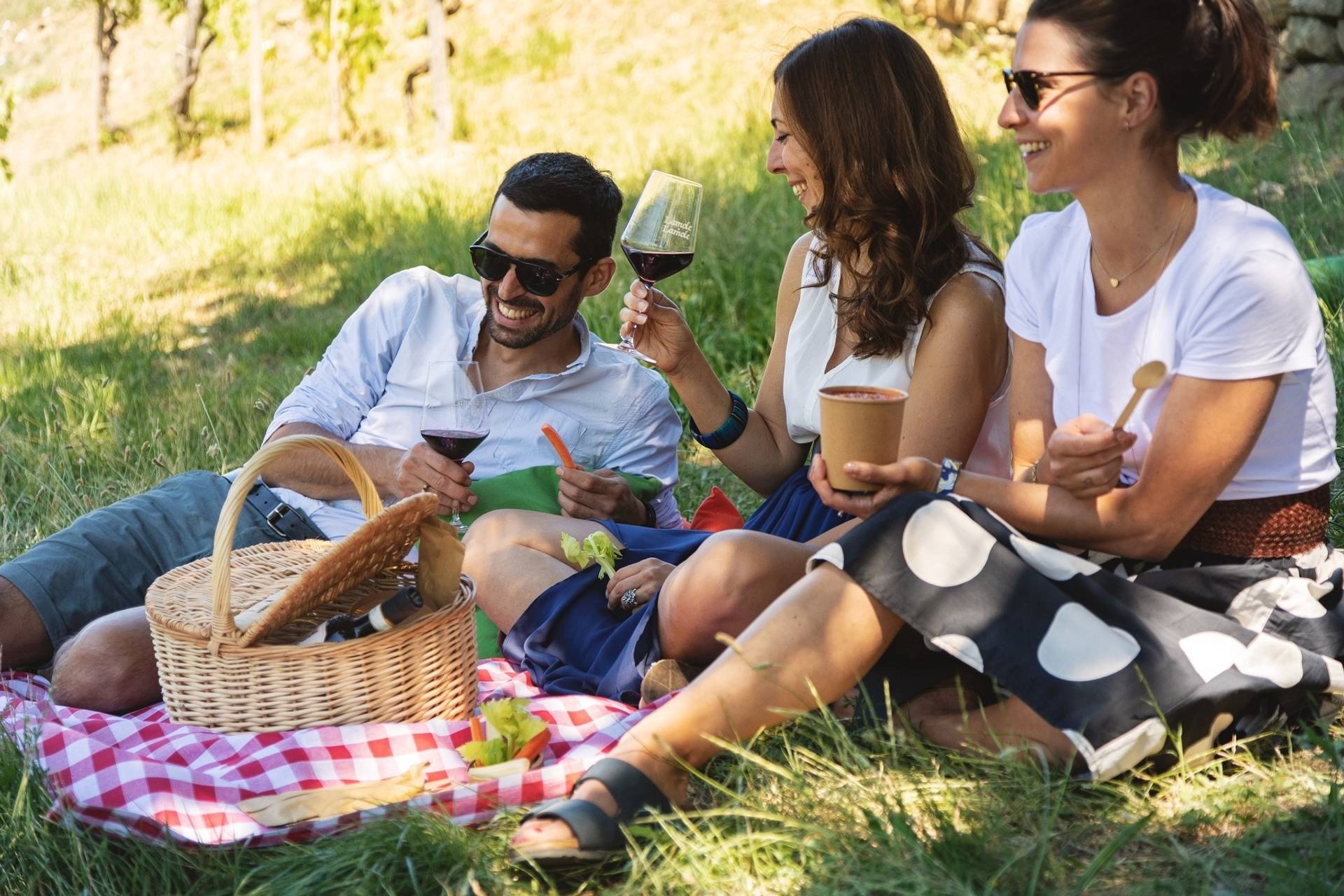 Picnic in the Vineyard