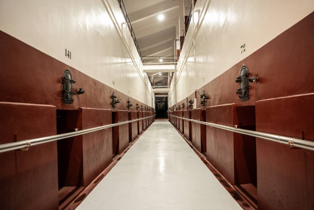 A Cinematic Azabache