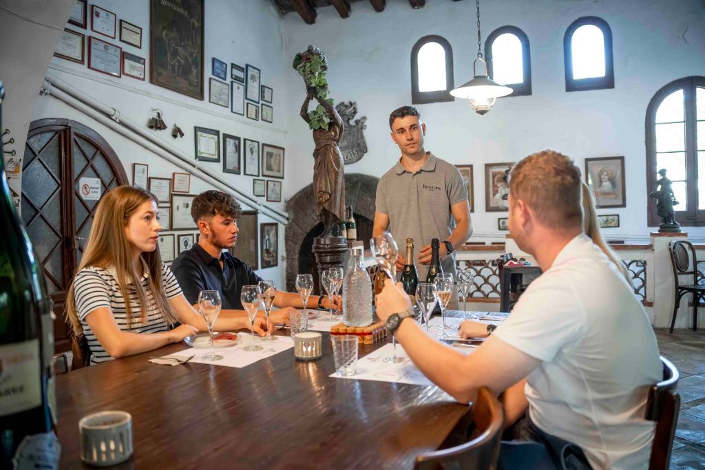 Breakfast among vineyards, visit and tasting