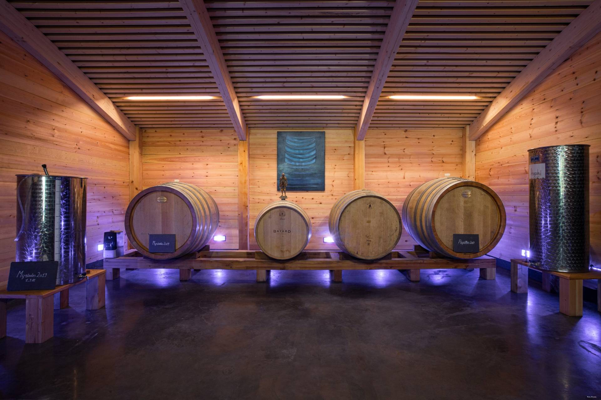 Tour and guided tasting of 5 wines